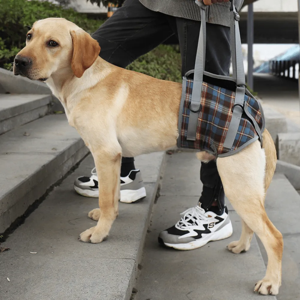 A Plus A Pets Lift Support Harness For Hind Legs for Dogs (Navy)