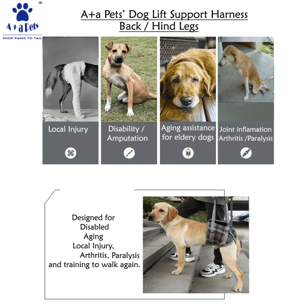A Plus A Pets Lift Support Harness For Hind Legs for Dogs (Navy)