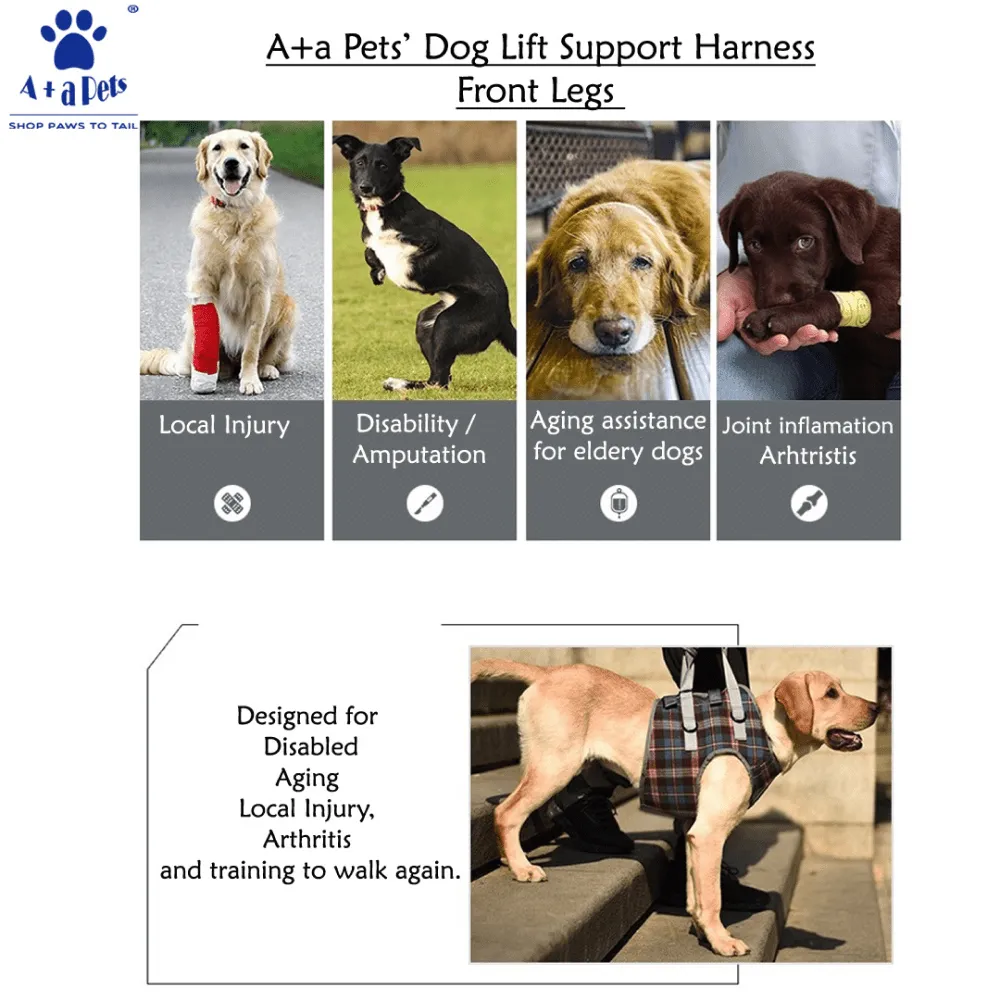 A Plus A Pets Multi Function Vest Style Harness for Dogs