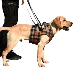 A Plus A Pets Multi Function Vest Style Harness for Dogs